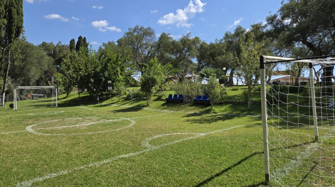 forest arena foto